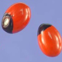 Two red abrin seeds against a solid blue background.