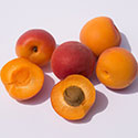 Six apricots pictured with one apricot's pitt exposed.