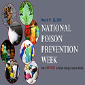 Collage of poison hazards commonly found in the home.