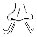 Icon of a nose with lines underneath signifying inhaling in and out of the nose